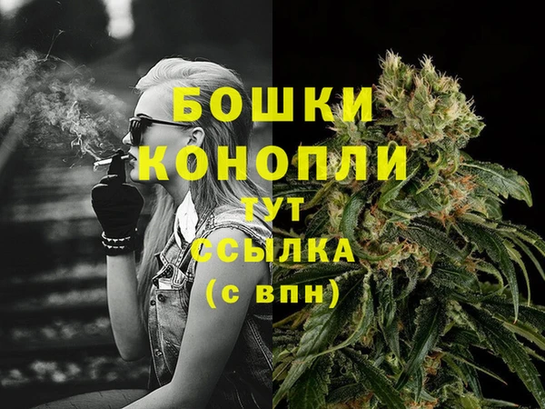 молекула духа Зерноград