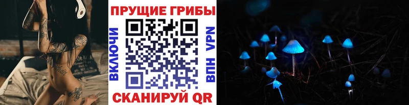 blacksprut вход  Кизел  Галлюциногенные грибы MAGIC MUSHROOMS 